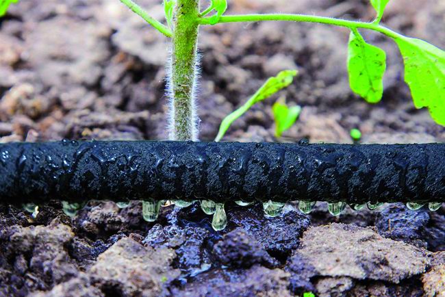 Tubo microporoso per irrigazione Vigor 1/2" 15m