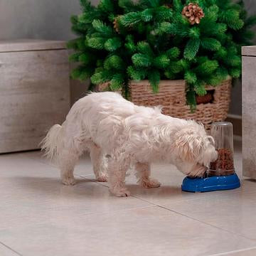 Dispenser di crocchette o acqua Azimut per cani e gatti