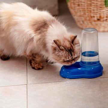Dispenser di crocchette o acqua Azimut per cani e gatti
